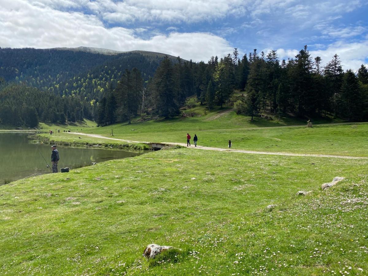 Gite Chaleureux Au Lac De Payolle กอมปอง ภายนอก รูปภาพ