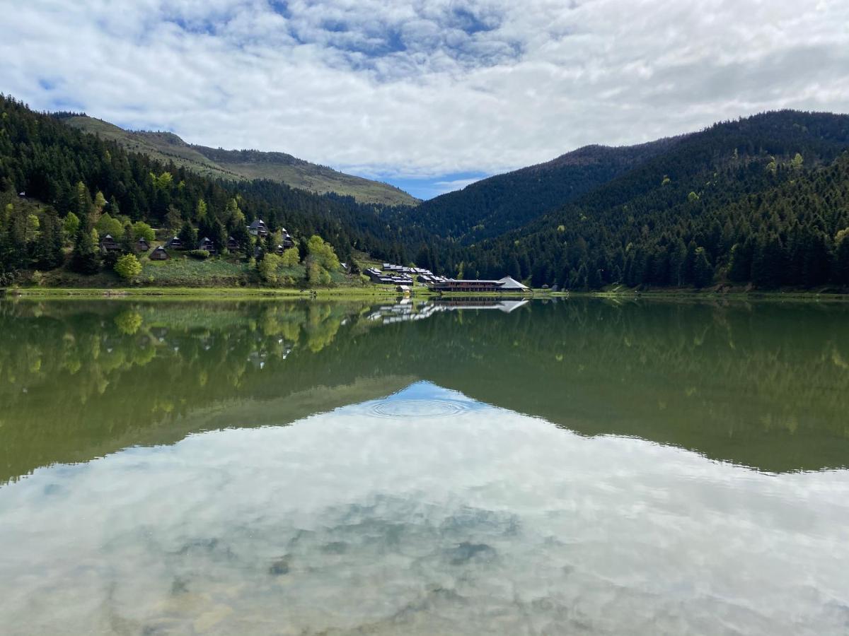 Gite Chaleureux Au Lac De Payolle กอมปอง ภายนอก รูปภาพ
