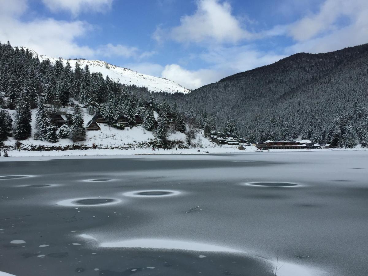 Gite Chaleureux Au Lac De Payolle กอมปอง ภายนอก รูปภาพ
